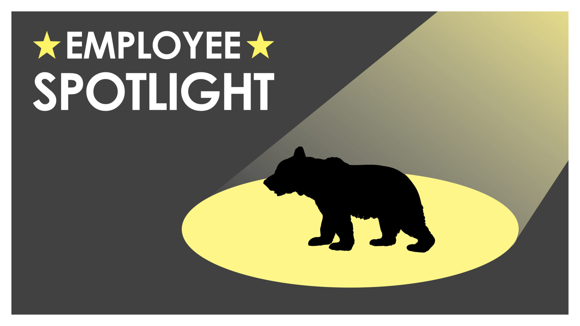 Employee Spotlight Banner